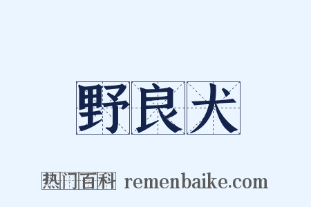 野良犬是什么意思的图片